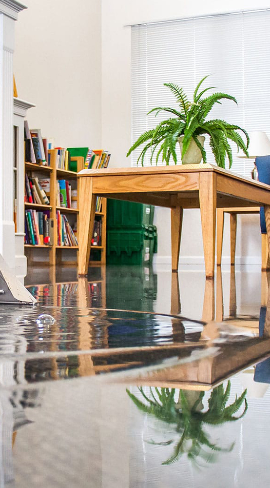 Water Damage Restoration Services